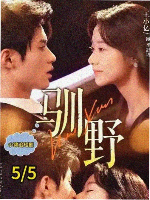 我的事说来话长 日剧在线观看